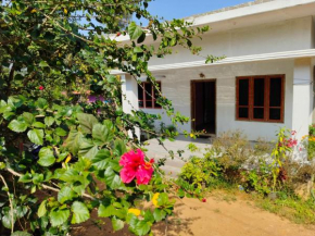 Coorg light